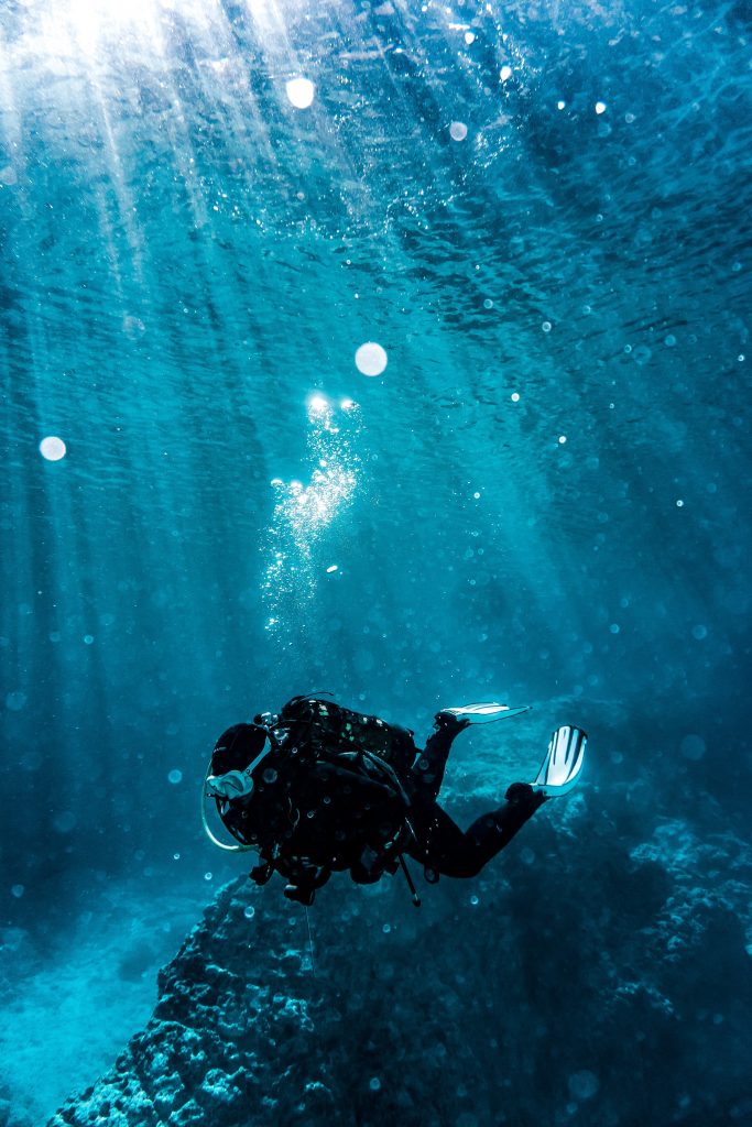 Marine Biologist job