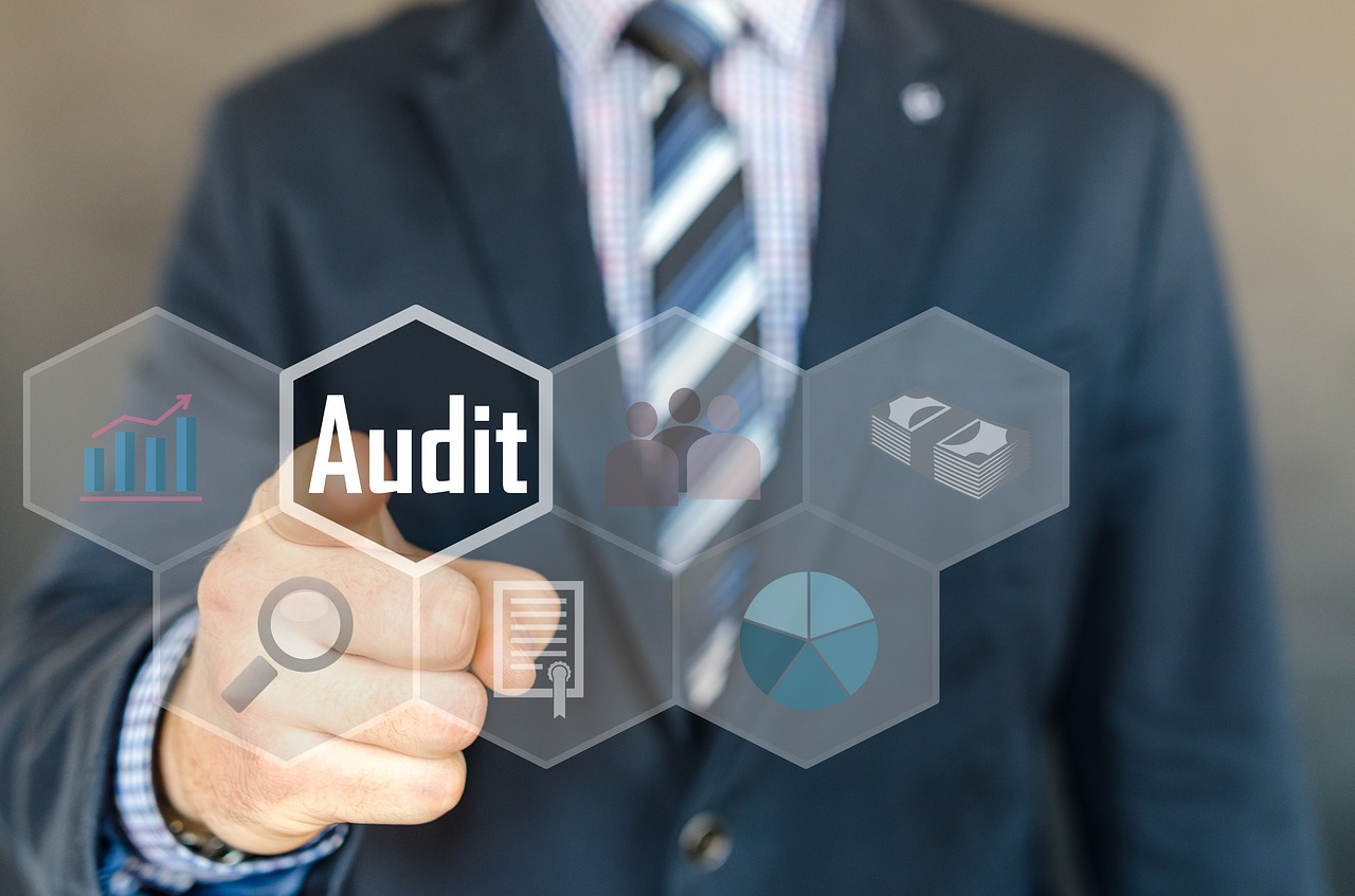 auditor