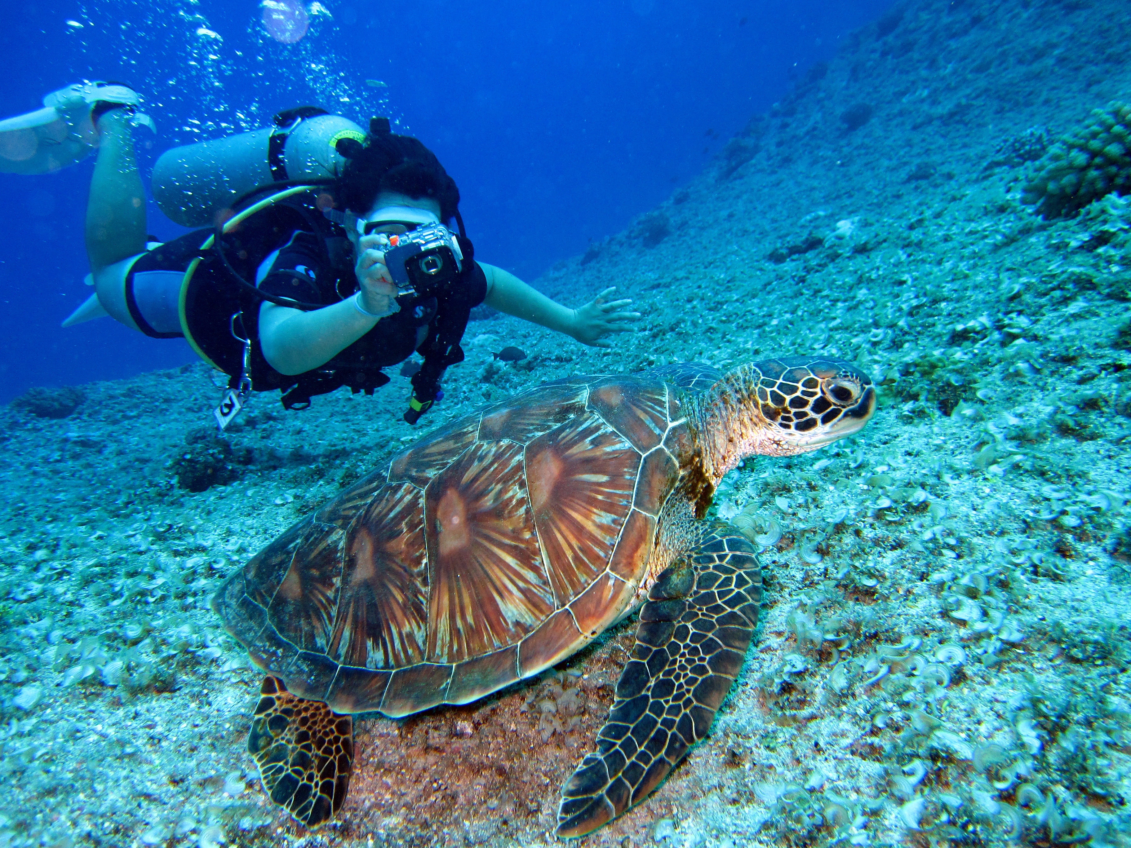 Marine Biologist