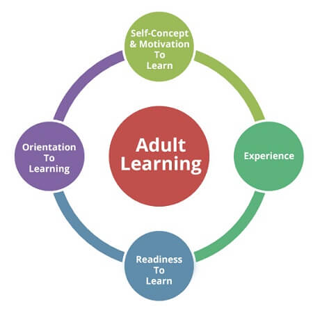 adult education