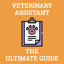 Veterinary Assistant - The Ultimate Guide