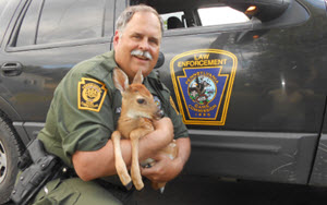 Conservation Officer