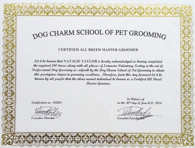 dog grooming certification example
