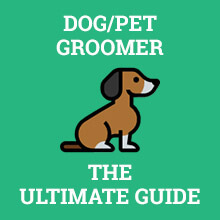 Dog/Pet Groomer - The Ultimate Guide