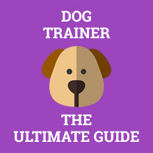Dog Trainer - The Ultimate Guide