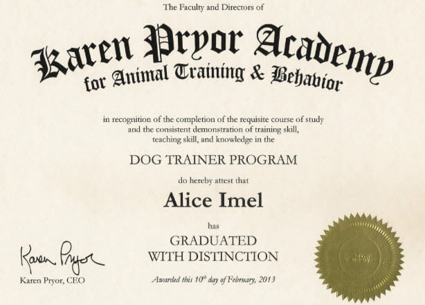 Dog training certification example