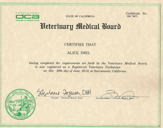 veterinary technician certification example