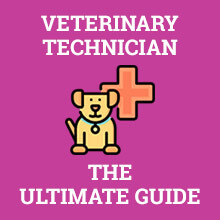 Veterinary Technician - The Ultimate Guide