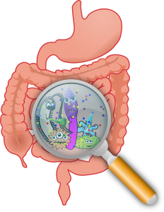 Gastroenterology