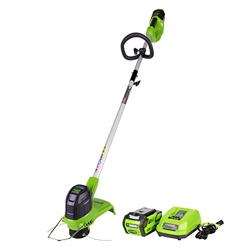 Greenworks 2101602 Battery-Powered Weed-Eater