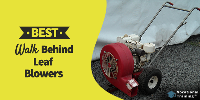 The Best Walk Behind Leaf Blowers for 2025