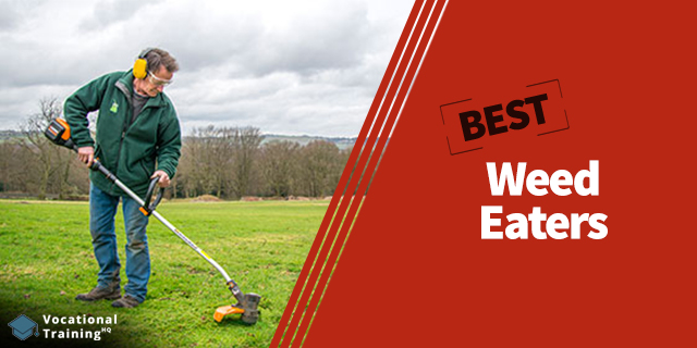The Best Weed Eaters for 2025
