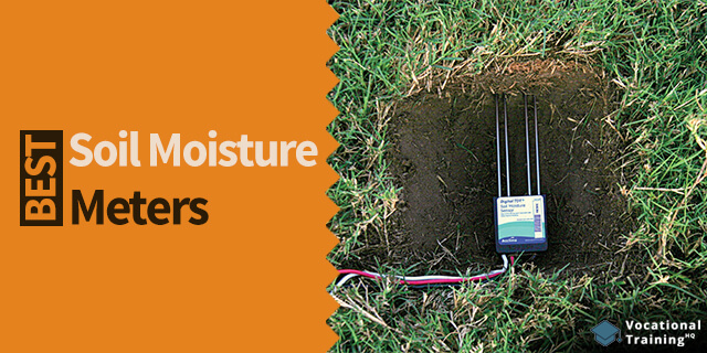 The Best Soil Moisture Meters for 2024