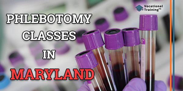 Phlebotomy Classes in Maryland