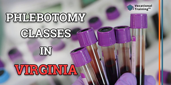 Phlebotomy Classes in Virginia