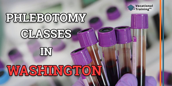 Phlebotomy Classes in Washington