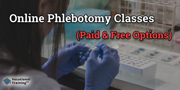 Online Phlebotomy Classes