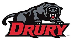 Drury University logo