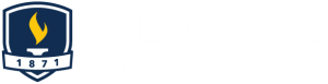 Bethel University logo