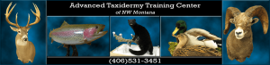 Advanced Taxidermy Training Center of NW Montana logo