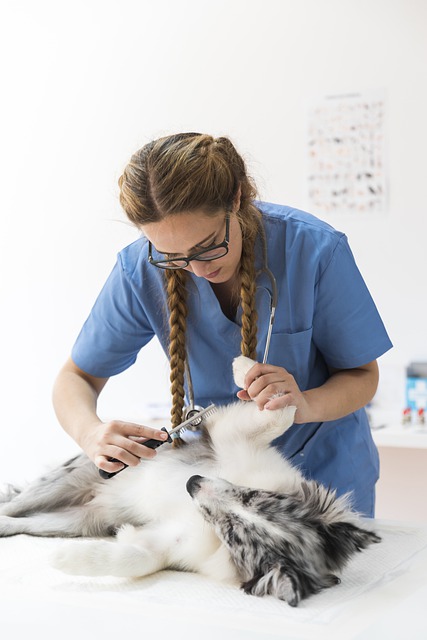 Marine Veterinary Technician