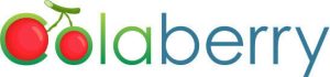Colaberry School of Data Science & Analytics logo