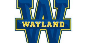 Wayland Baptist University logo