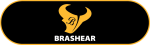 Pittsburgh Brashear High School  logo