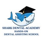 Shark Dental Academy  logo