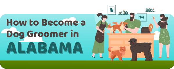How to Become a Dog Groomer in Alabama