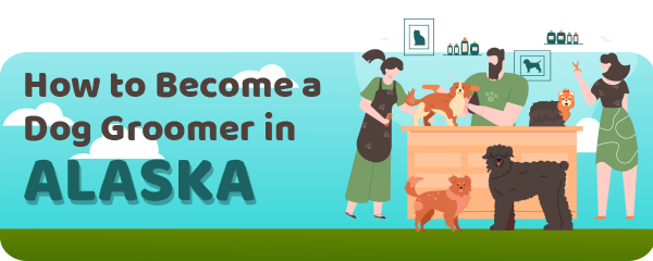 How to Become a Dog Groomer in Alaska