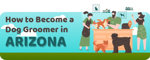 How to Become a Dog Groomer in Arizona