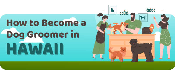 How to Become a Dog Groomer in Hawaii