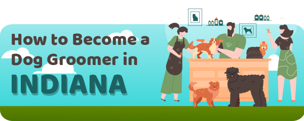How to Become a Dog Groomer in Indiana