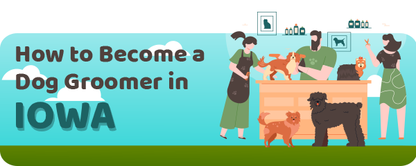 How to Become a Dog Groomer in Iowa