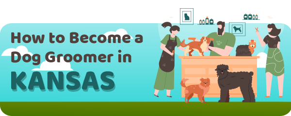How to Become a Dog Groomer in Kansas