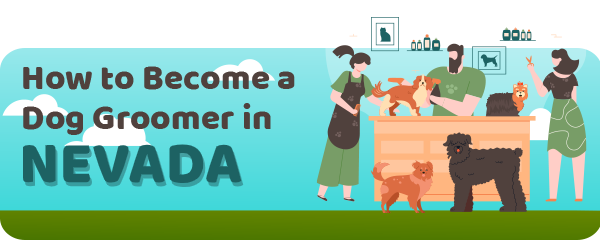 How to Become a Dog Groomer in Nevada