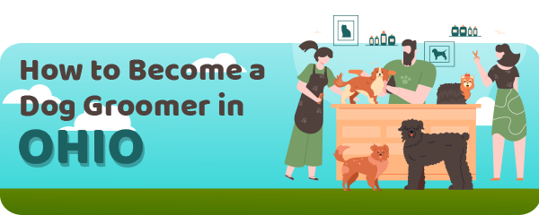 How to Become a Dog Groomer in Ohio