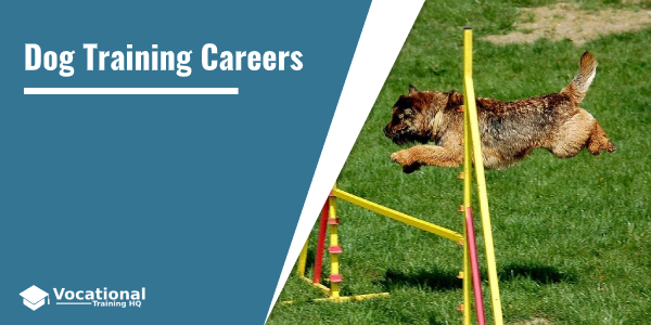 Dog Training Careers