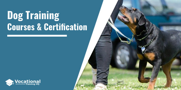 Dog Training Courses & Certification