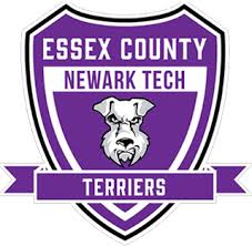 Newark Tech School of Technology logo
