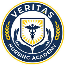 Veritas Nursing Academy logo