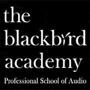 The Blackbird Academy logo