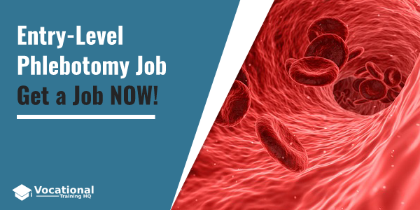 Entry-Level Phlebotomy Job