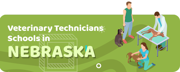 How to Become a Veterinary Technician in Nebraska