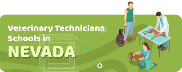 How to Become a Veterinary Technician in Nevada