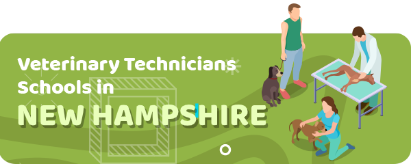 How to Become a Veterinary Technician in New Hampshire