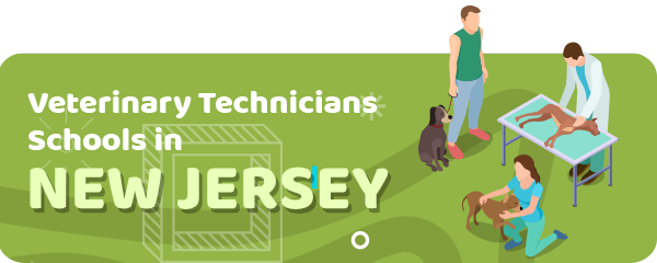 How to Become a Veterinary Technician in New Jersey