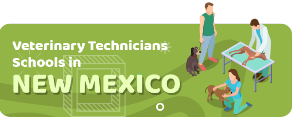 How to Become a Veterinary Technician in New Mexico