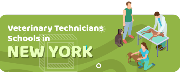 How to Become a Veterinary Technician in New York